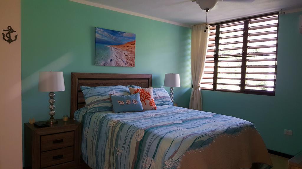 Fully Air-Conditioned Beach Front Penthouse Apartment Naguabo Ngoại thất bức ảnh