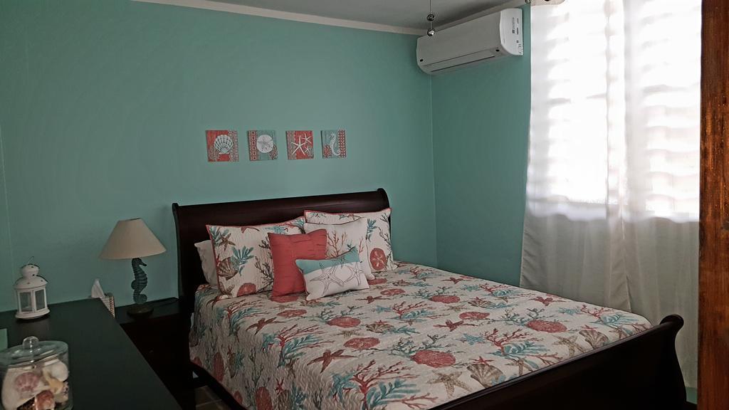 Fully Air-Conditioned Beach Front Penthouse Apartment Naguabo Ngoại thất bức ảnh